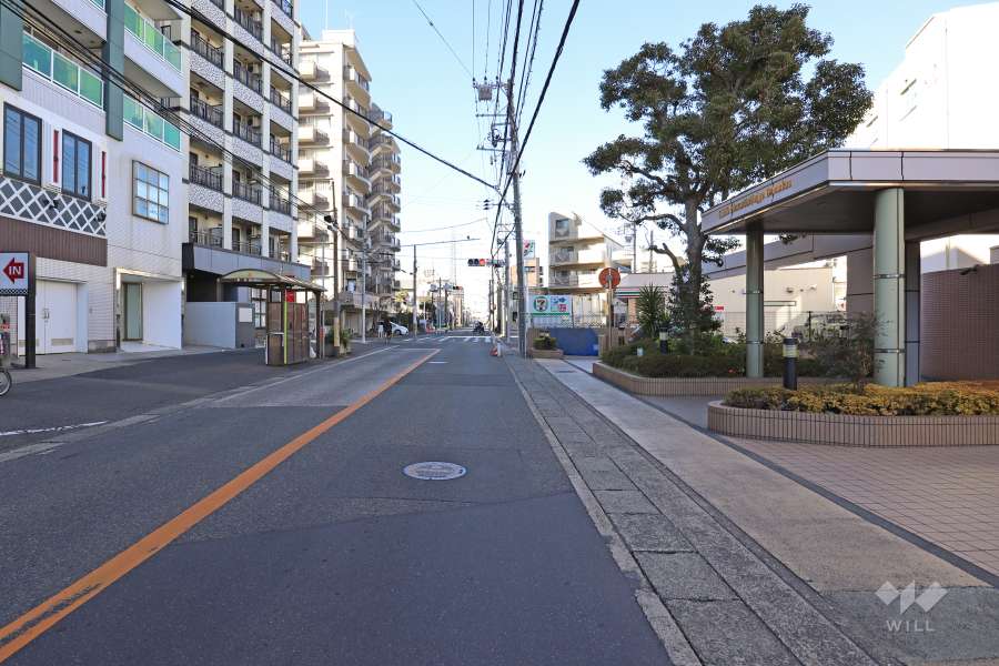 敷地南西側の前面道路（南東側から）