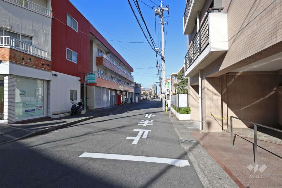 敷地西側の前面道路（南側から）
