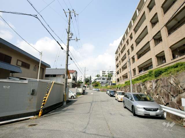 敷地南側の前面道路。敷地の3方が接道した開放感のある立地。
