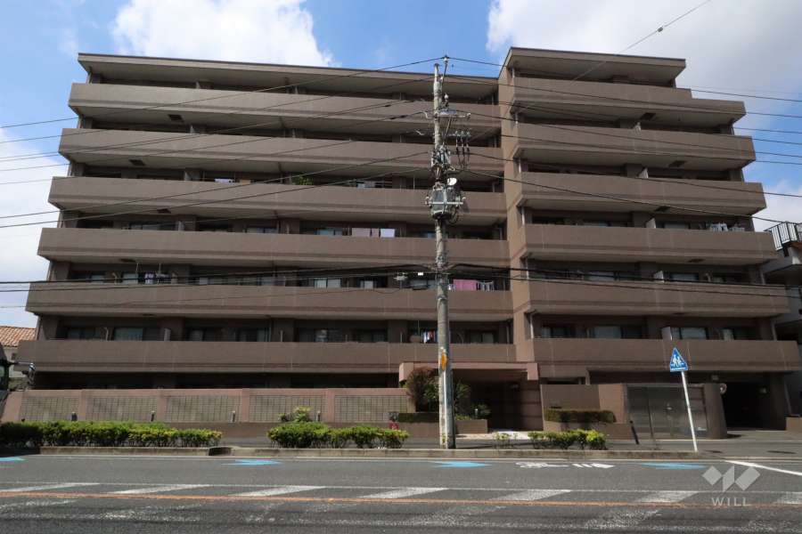 ジュネス溝の口東の外観（南側から）