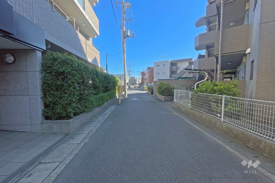 敷地南側の前面道路（西側から）