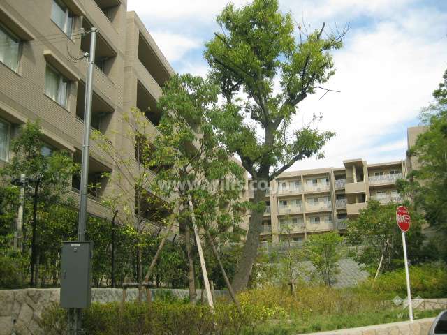 ジオグランデ芦屋翠ケ丘の外観（西側から）