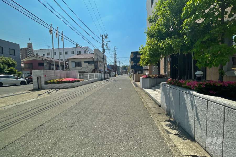 敷地南側の前面道路（東側から）