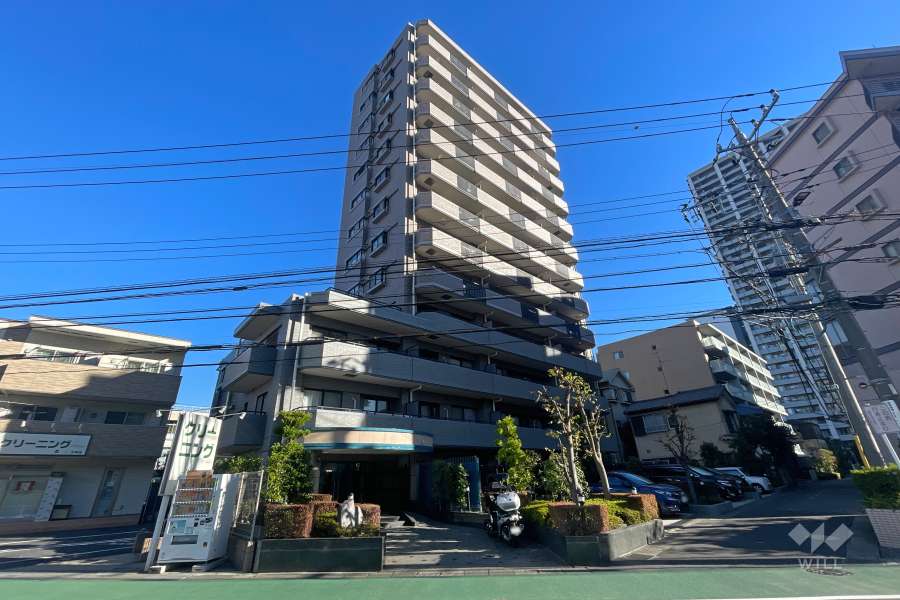 ルネサンスフォルム溝の口の外観（南西側から）