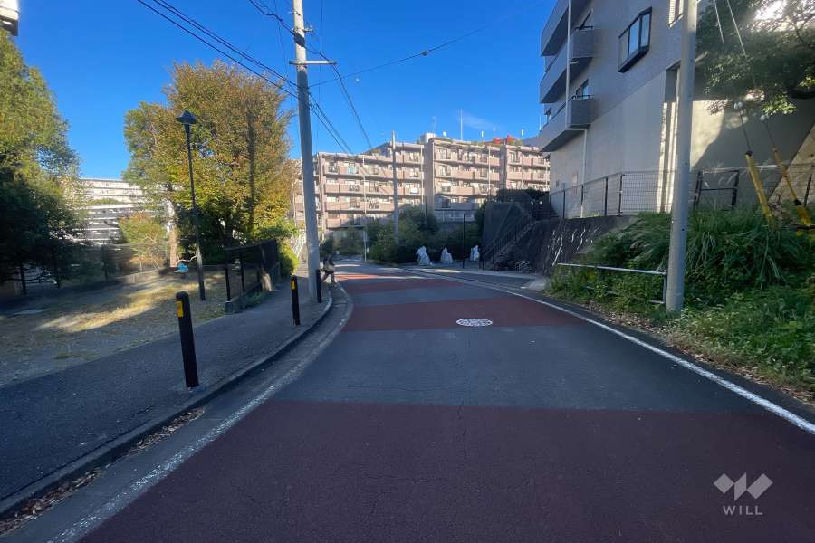 敷地北側の前面道路（西側から）