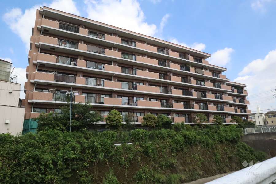 バンベール高津の外観（南側から）