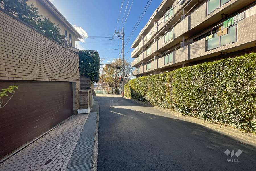 敷地南側の前面道路（東側から）