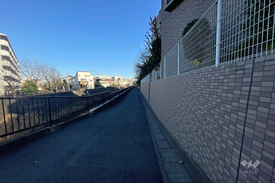 敷地北側の前面道路（西側から）