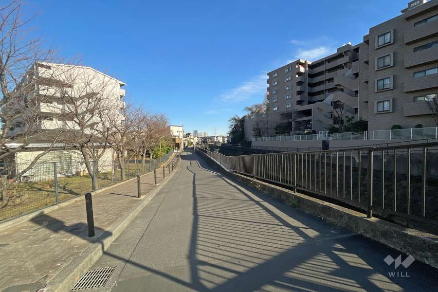 敷地北側の前面道路（西側から）