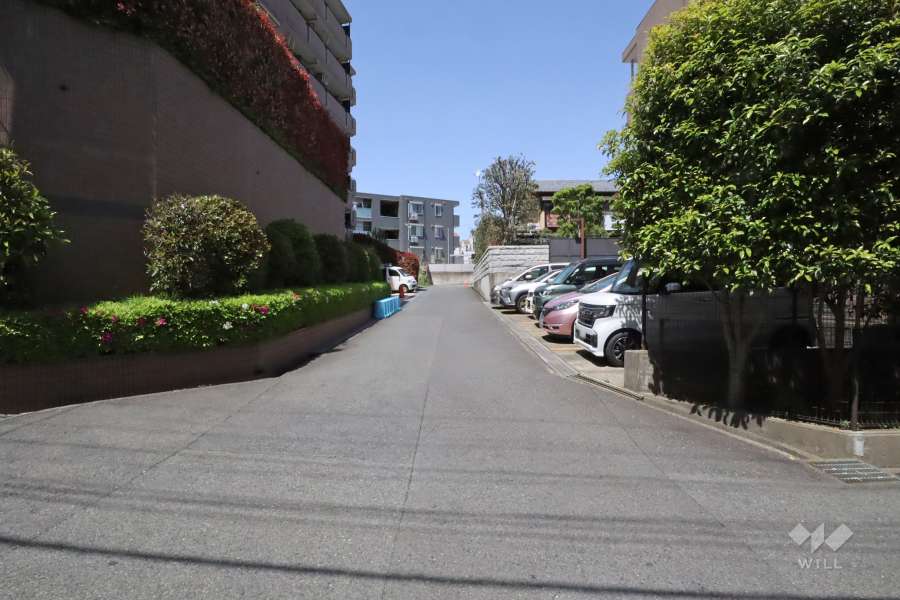 敷地東側の前面道路　