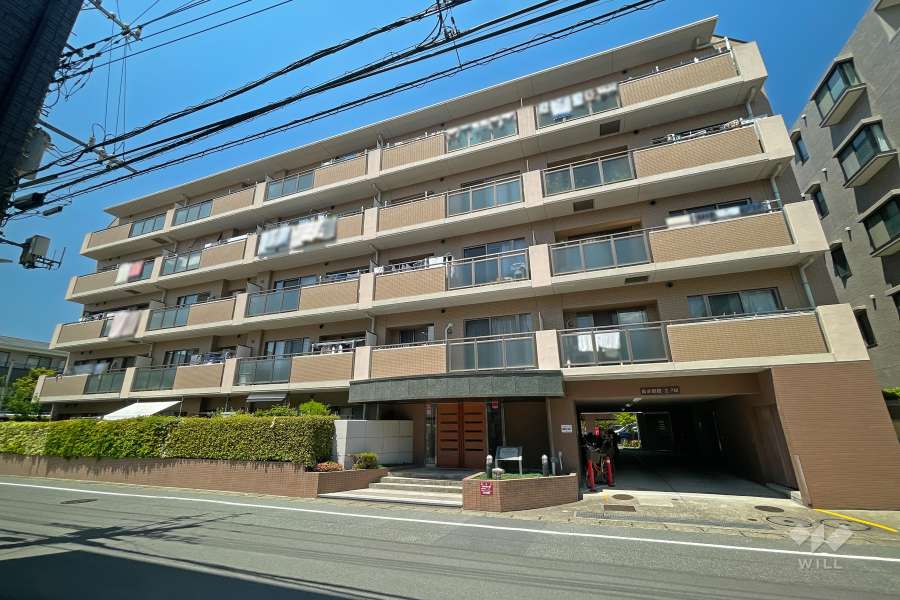 ヒルズ武蔵新城パークステージの外観（南東側から）