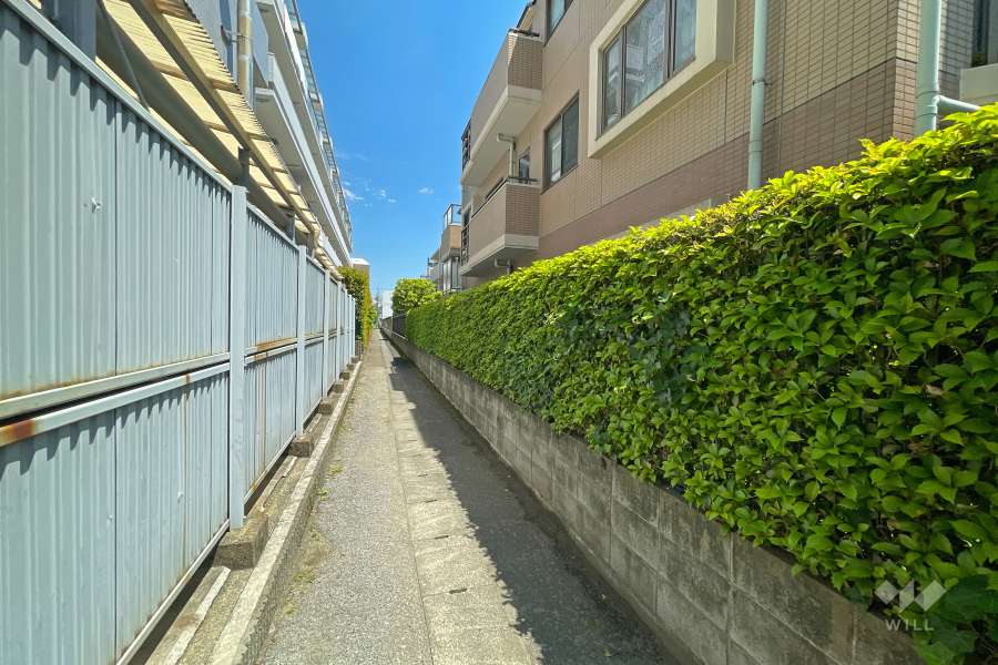 敷地北側の前面道路