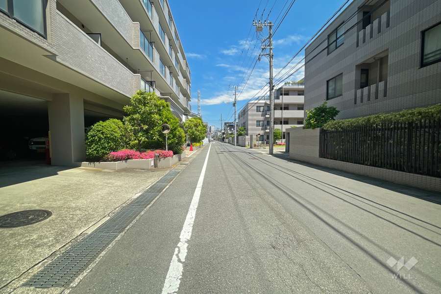 敷地南側の前面道路