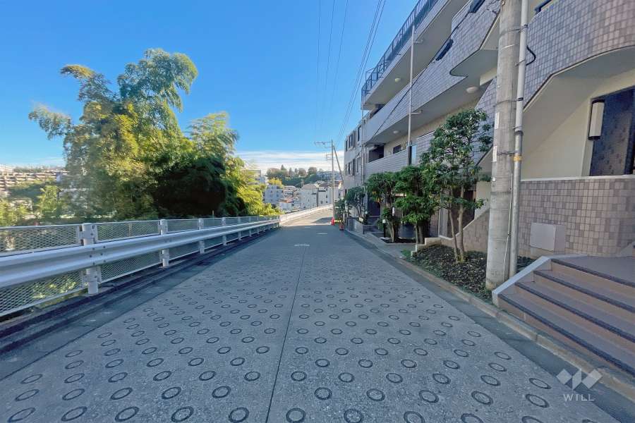 敷地北東側前面道路（北西側から）