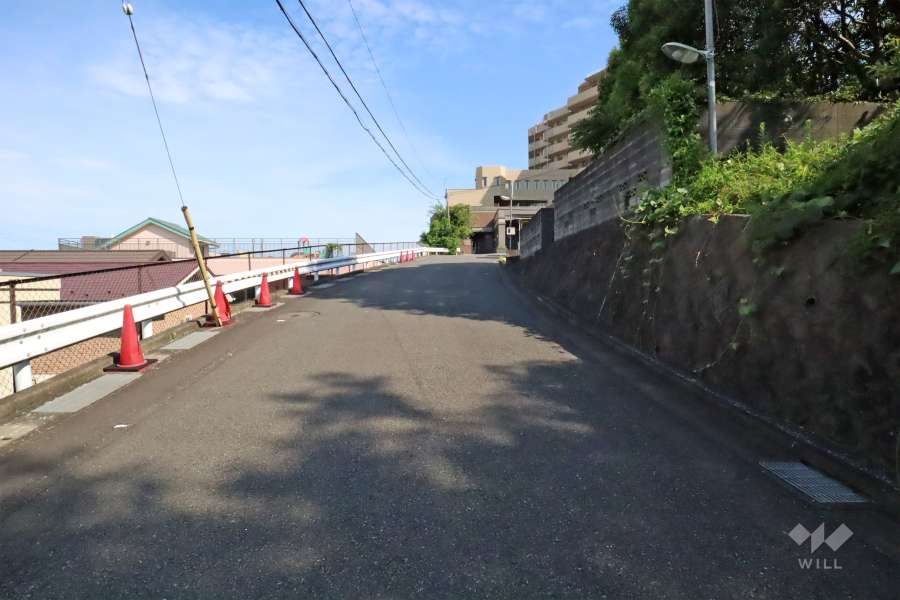 敷地北側の前面道路(西側から)