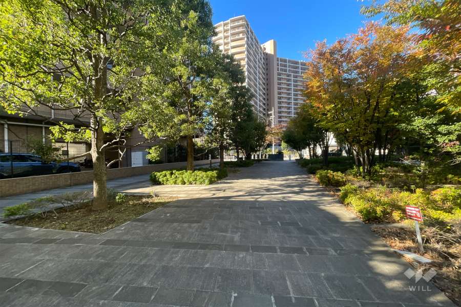 敷地北側の前面道路（東側から）