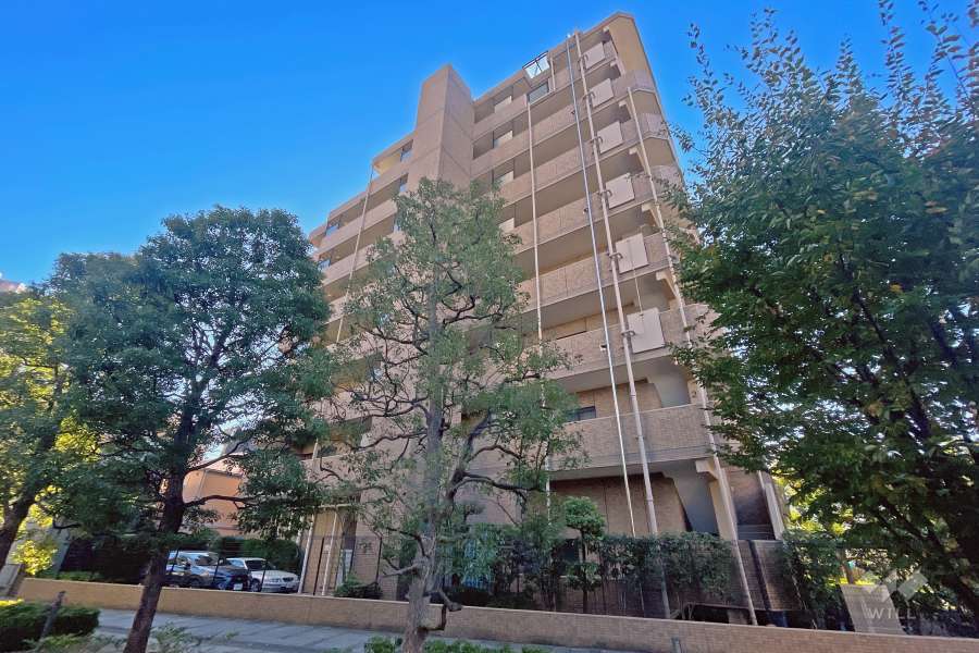 セザール第三溝ノ口の外観（北西側から）