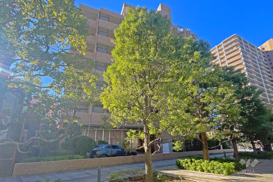 セザール第三溝ノ口の外観（北東側から）