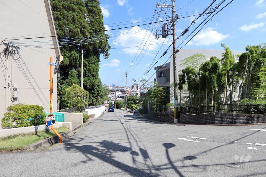 敷地南西側の前面道路(北西側から)