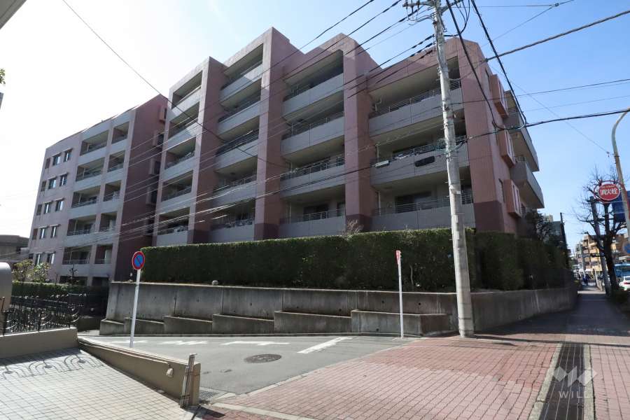 ヒルズ梶が谷姿見台の外観(東側から)