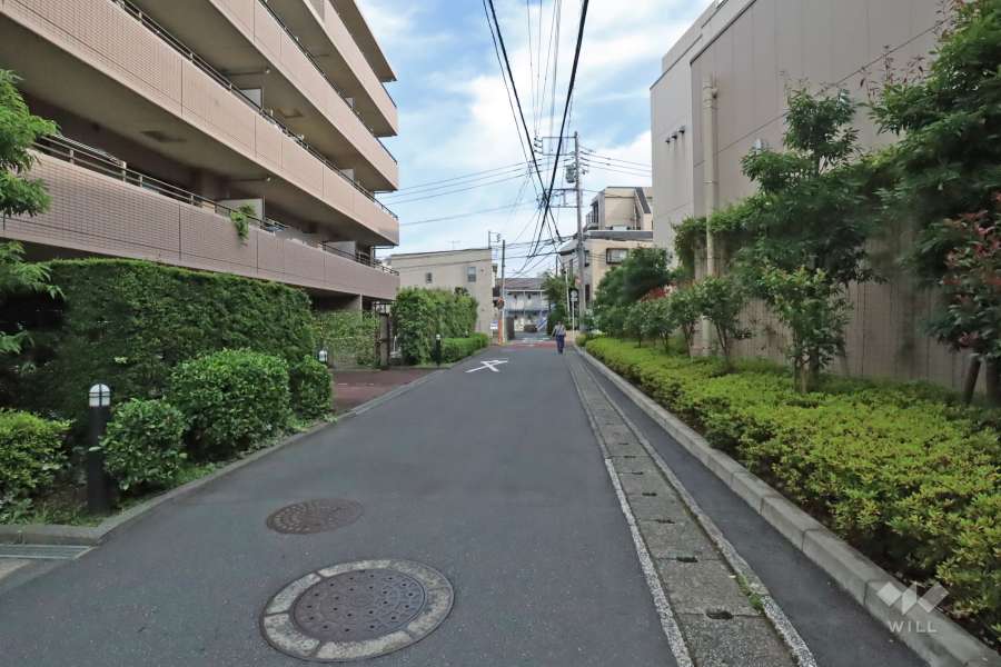 敷地西側の前面道路(北側から)