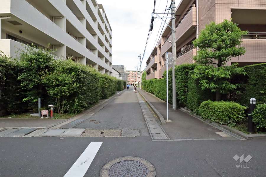 敷地北側の前面道路(西側から)