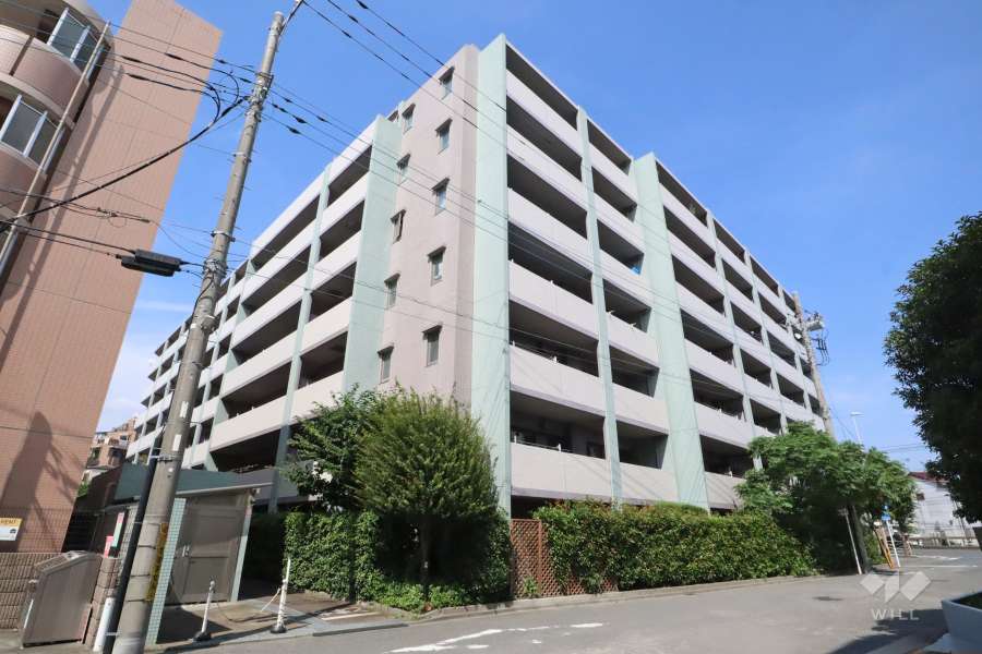 クレッセント高津リバーウィンドの外観(西側から)