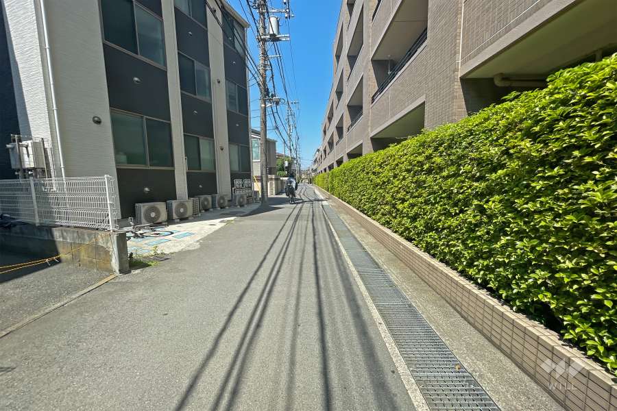 敷地南側の前面道路（東側から）