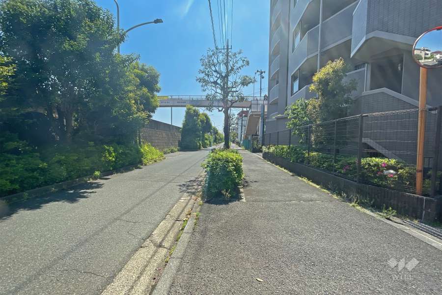 敷地北東側の前面道路は多摩川河川敷に面しています（北西側から）。