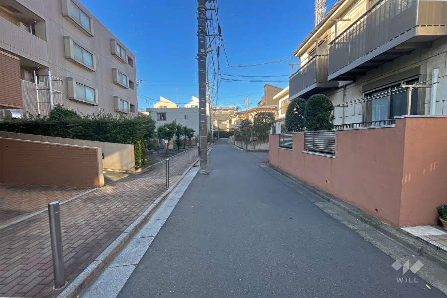 敷地北側の前面道路（西側から）