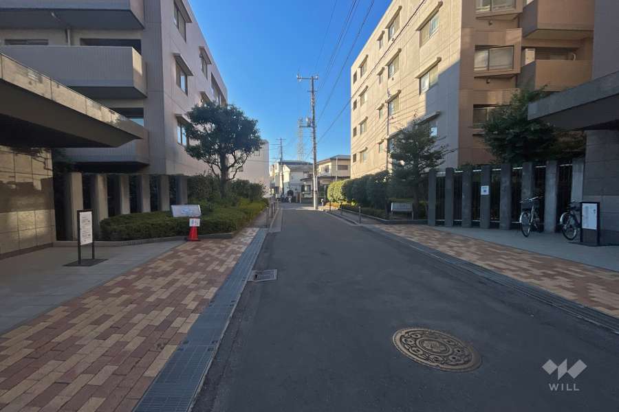 敷地西側の前面道路（北側から）