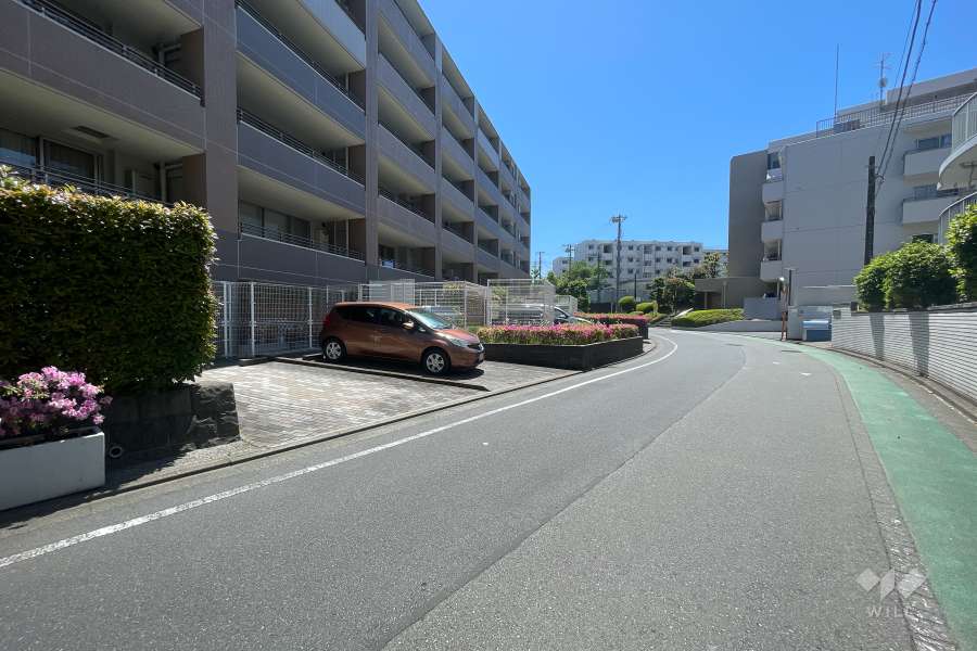 敷地西側の前面道路（北側から）