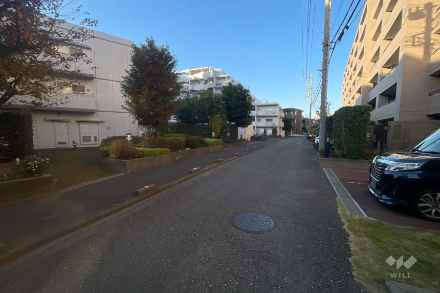 敷地の東側前面道路（南側から）