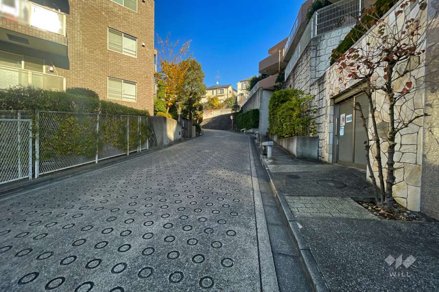 敷地北側の前面道路（東側から）