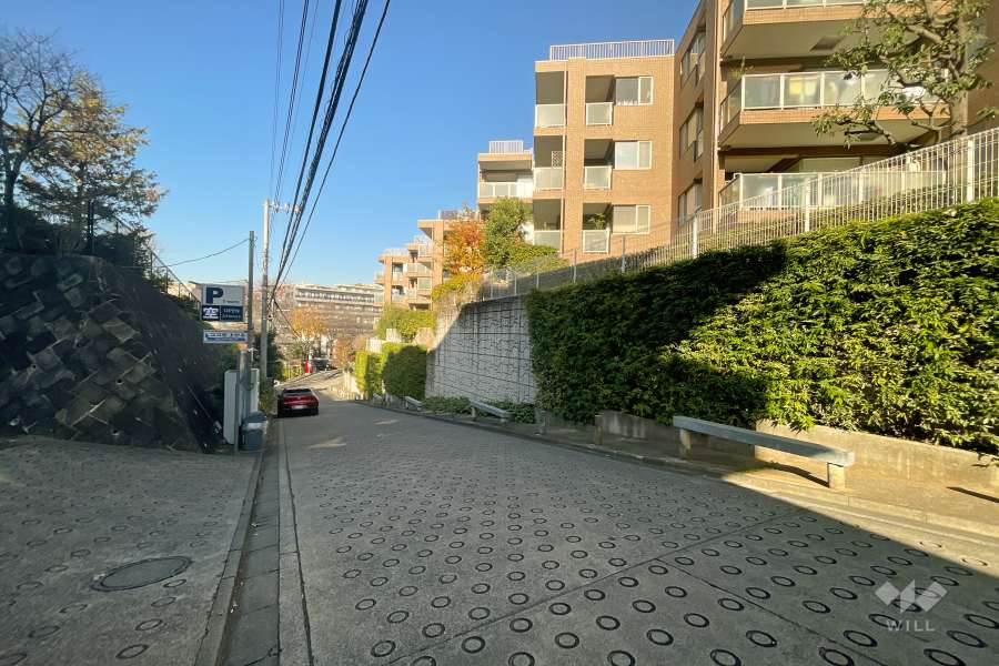 敷地西側の前面道路（南側から）