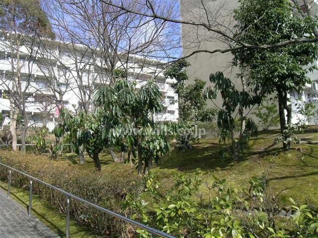 敷地内は緑豊かで、野鳥の姿も見かけます。