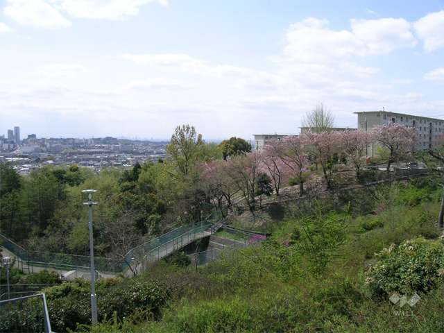 高台にあり、たいへん緑豊かな住環境