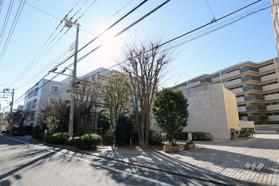 コスモザガーデン二子多摩川の外観（北東側から）