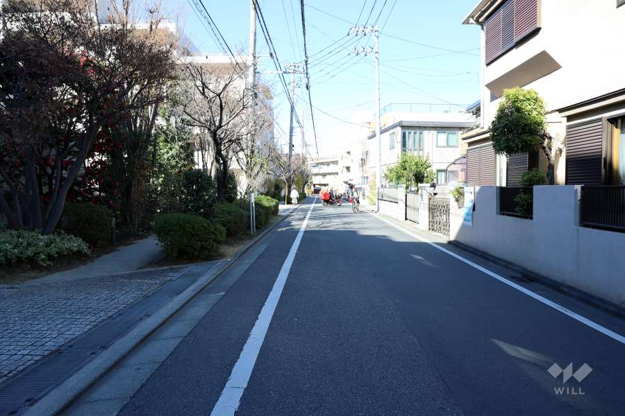 敷地北東側の前面道路（南東側から）