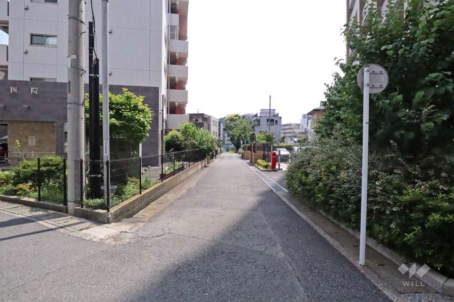 敷地南東側の前面道路(北東側から)