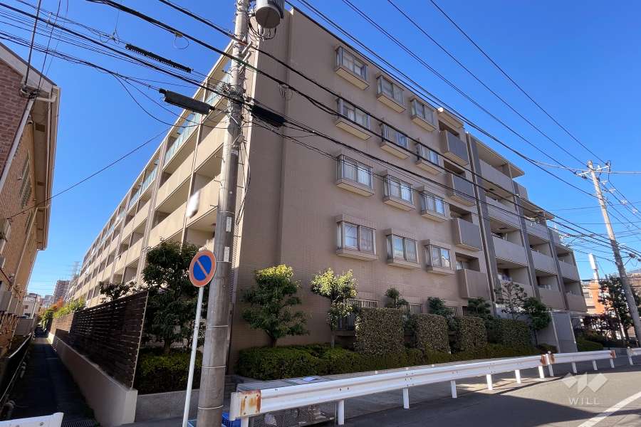 コスモ武蔵新城ブライトステージの外観（南東側から）