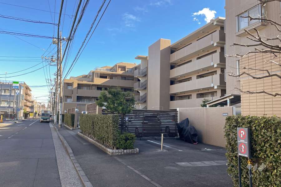 敷地北側の前面道路（西側から）