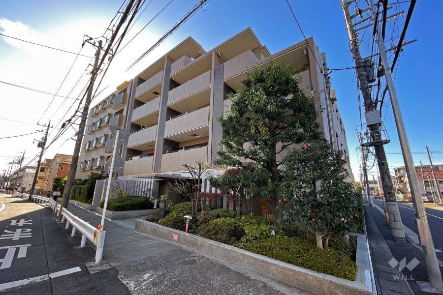 コスモ武蔵新城ブライトステージの外観（北東側から）