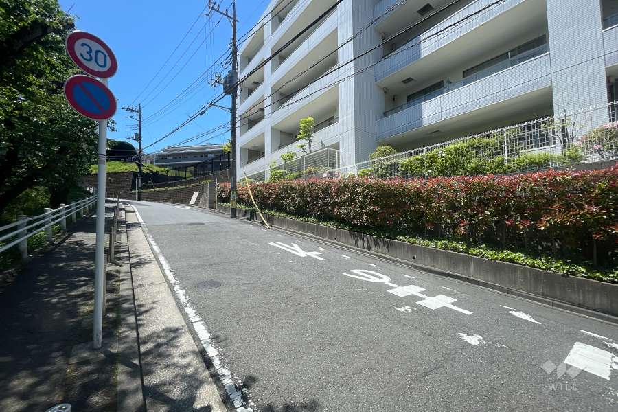 敷地東側の前面道路（北側から）