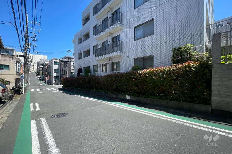 敷地西側の前面道路（南側から）