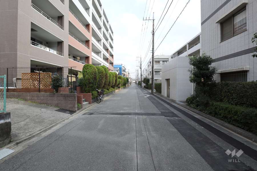 敷地北側の前面道路（西側から）