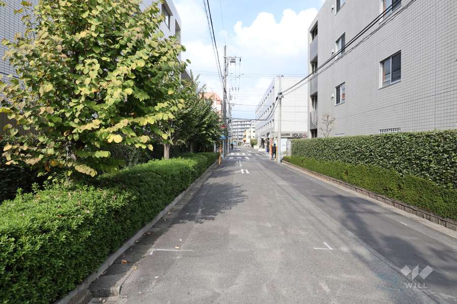 敷地東側の前面道路（南側から）