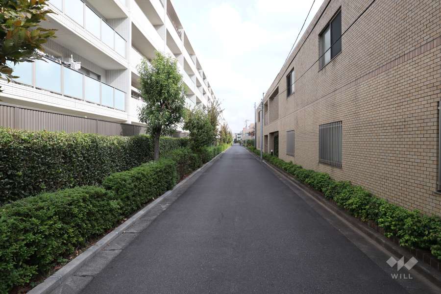 敷地南側の前面道路（西側から）