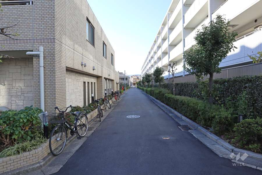 敷地北側の前面道路（東側から）