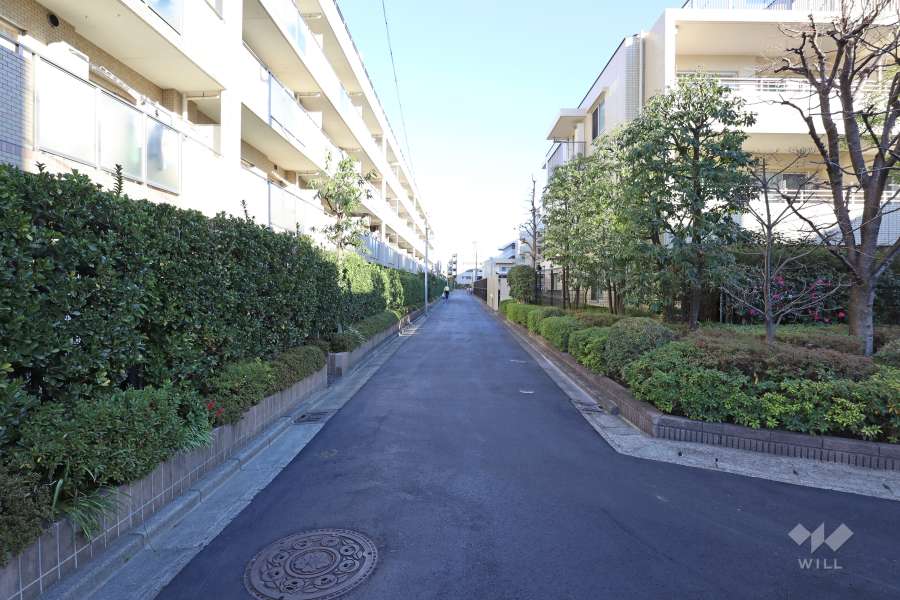 敷地南側の前面道路（西側から）